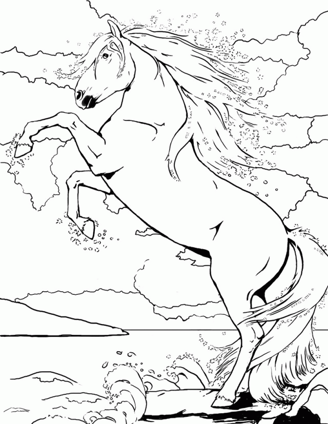 Plansa de colorat cu Bella Sara 15 7